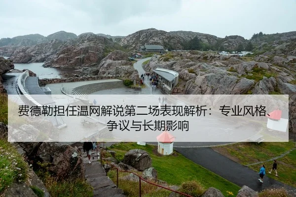 费德勒担任温网解说第二场表现解析：专业风格、争议与长期影响